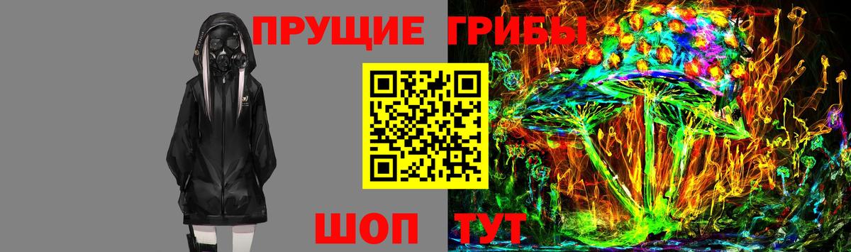 Ачхой-Мартан  Псилоцибиновые грибы GOLDEN TEACHER  Вход с VPN 