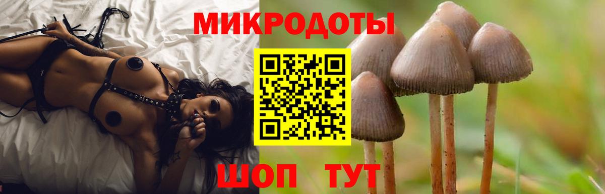 Галлюциногенные грибы Magic Shrooms Ачхой-Мартан